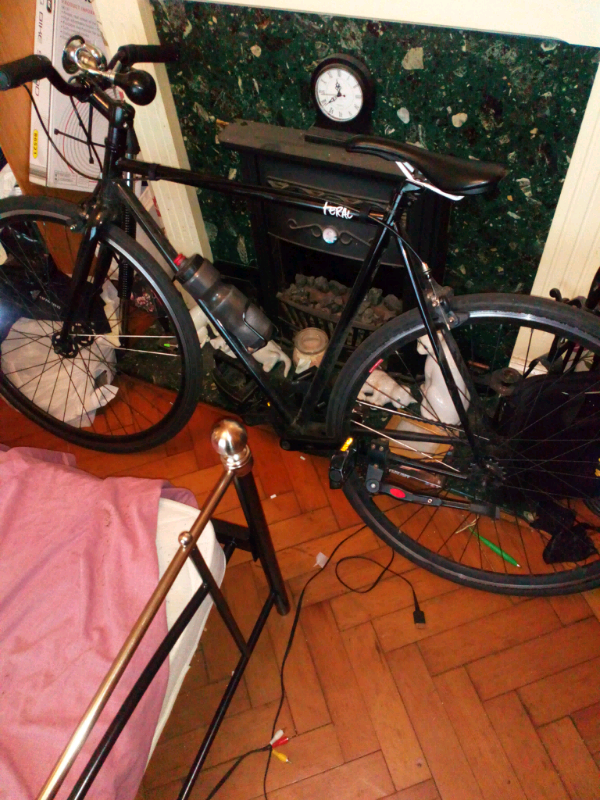 feral fixie